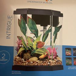 2-Gallon Fish Tank