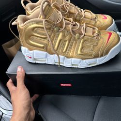 Supreme Uptempo NDS SIZE 10.5