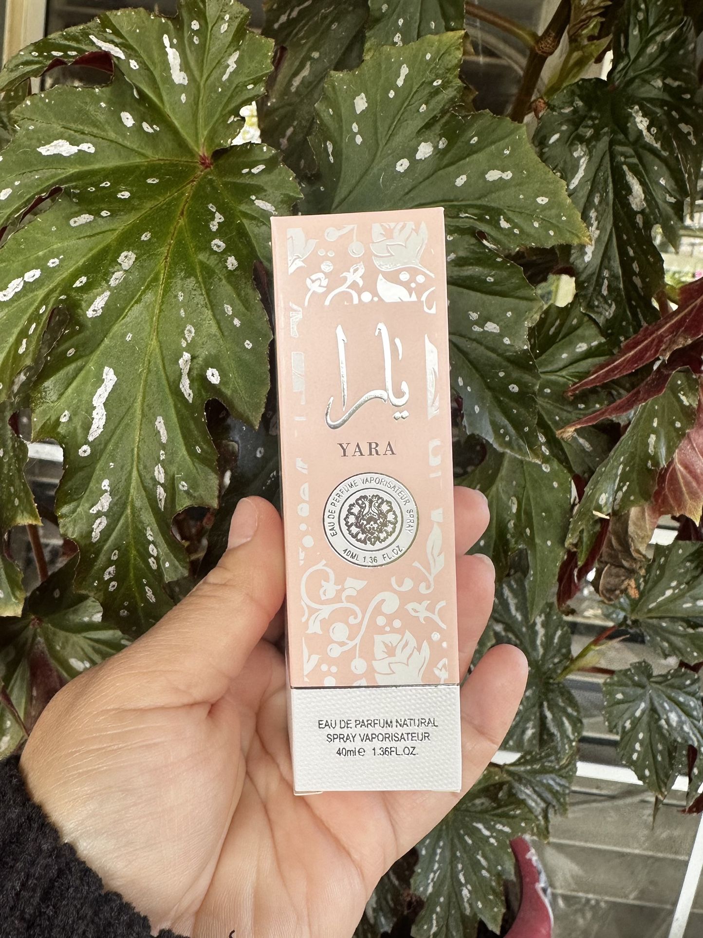 Yara perfume