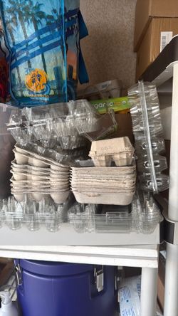 Egg cartons