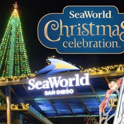 Sea World 4 Tickets $40 Ea 