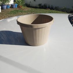 Nice Flower Pot