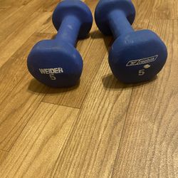 5 Pound Dumbbells 