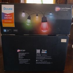 Govee Light