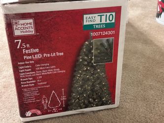 Indoor Christmas Tree