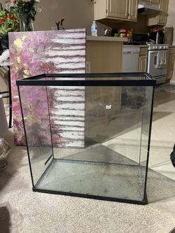 Cracked Fish Humidity Tank