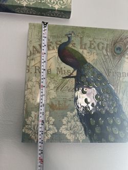 Peacock Pictures Times2 15.00 Both. 