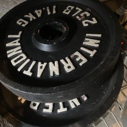 Steel Weight Plate . Chrome Olympic Bar . Curl Bar 