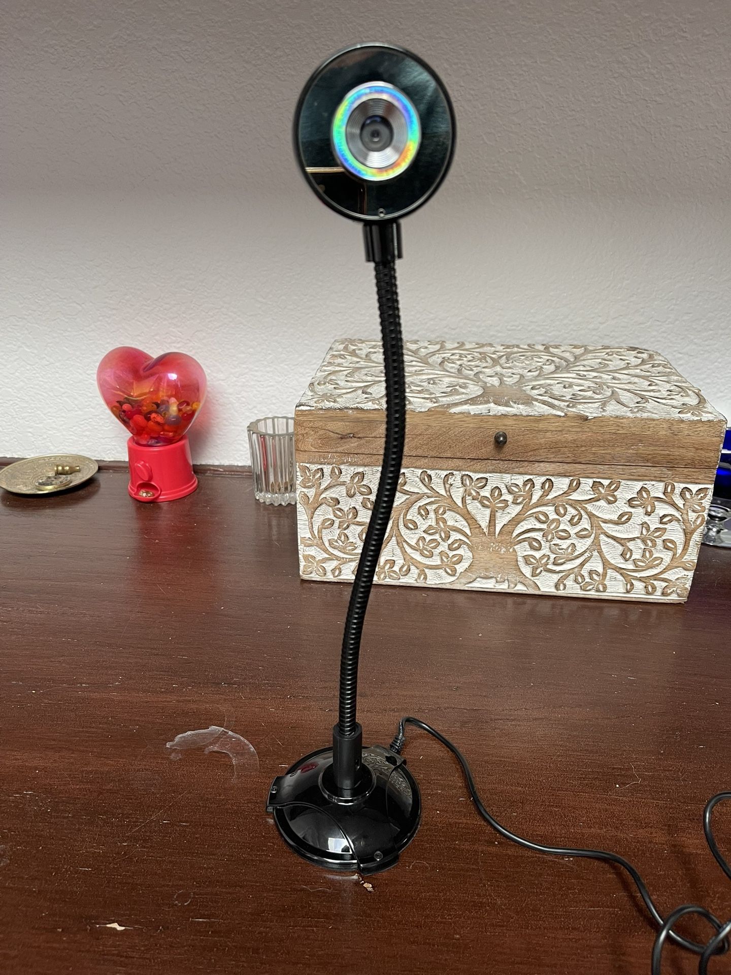 Web Cam (Webcam1000)