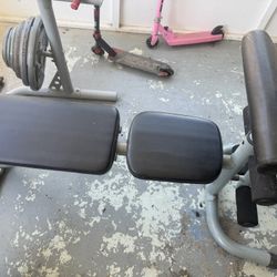 Weight Bench 