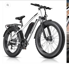 Electric bike