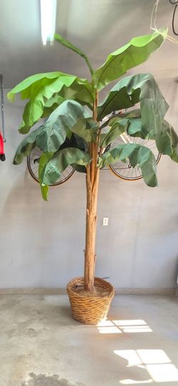 Free fake banana plant 7 feet