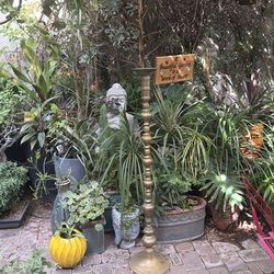 Spring garden sale multiple plants and mature  plants and trees