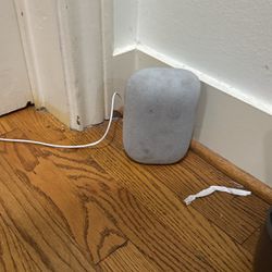 Google Nest Speaker 