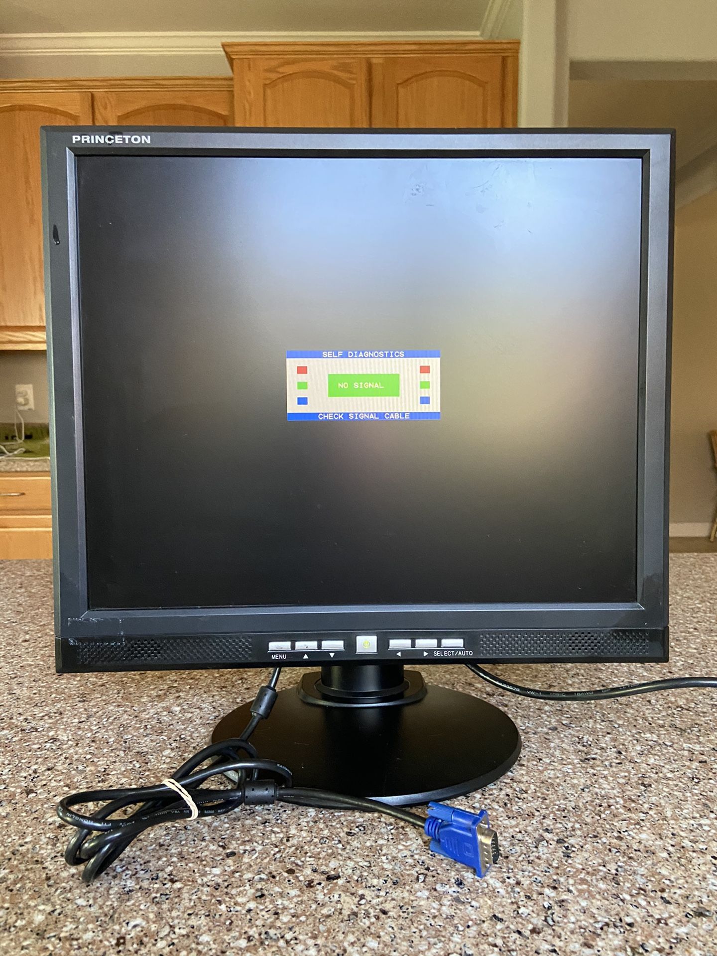 19” Princeton LCD Monitor w/ built-in speakers