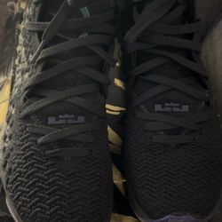 Mens LeBron 17 Size 8
