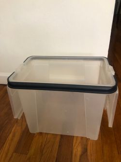 Container