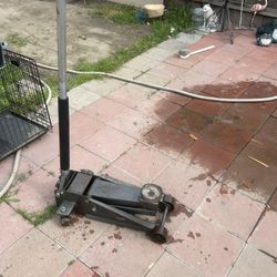 Car jack gato