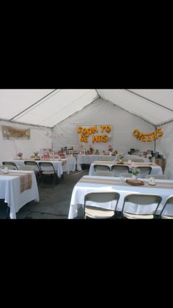 Decorator/party planner