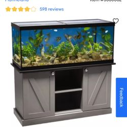 Tank Fish 