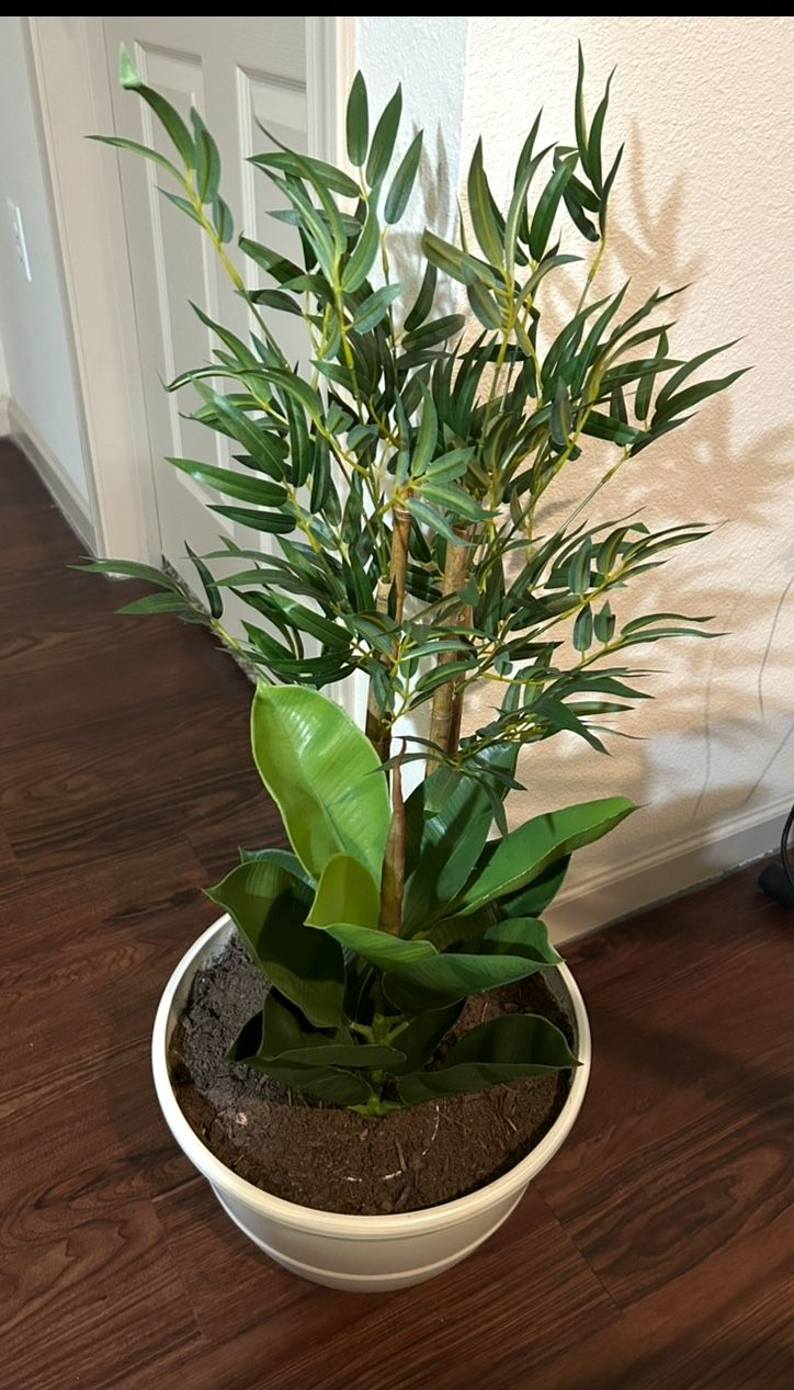 2 Plantas Artificiales 