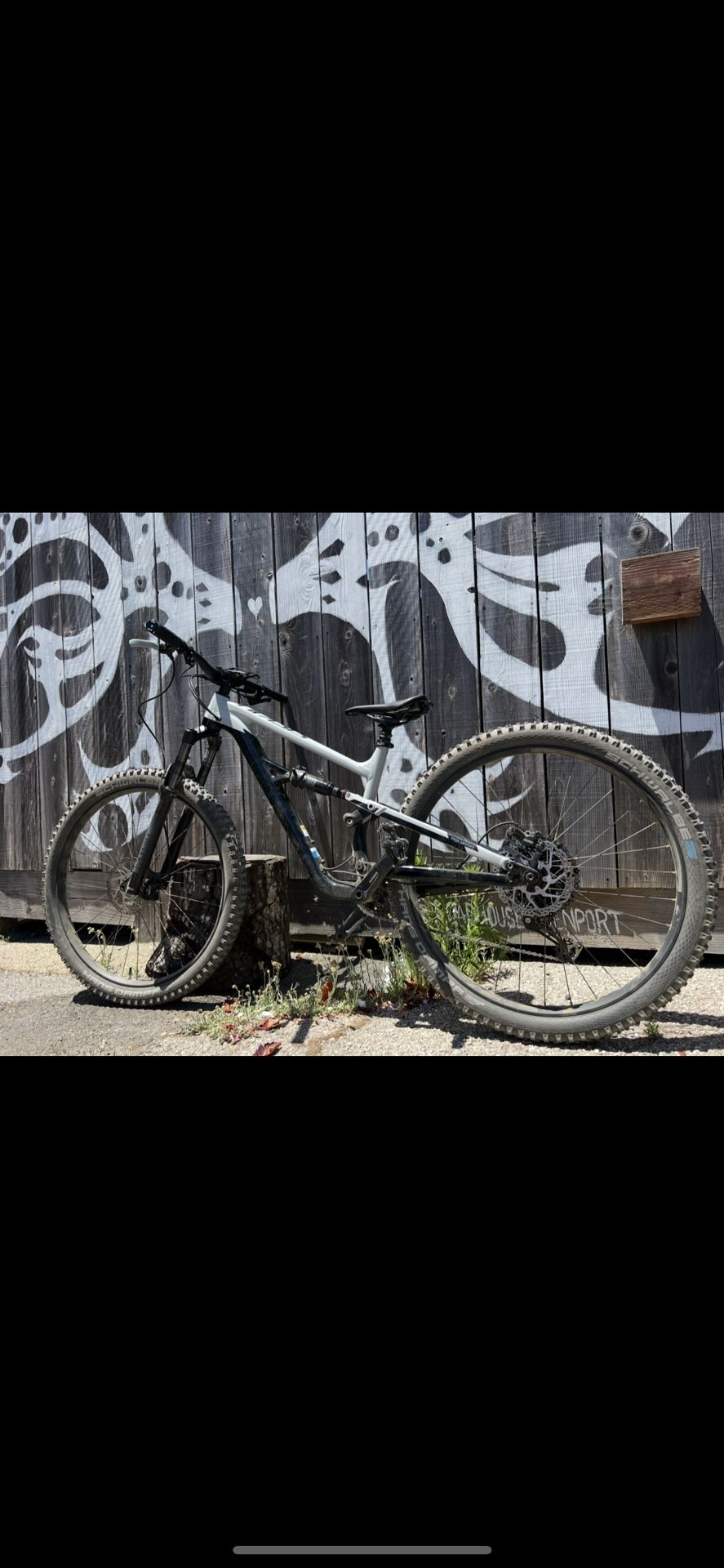 Mountain Bike