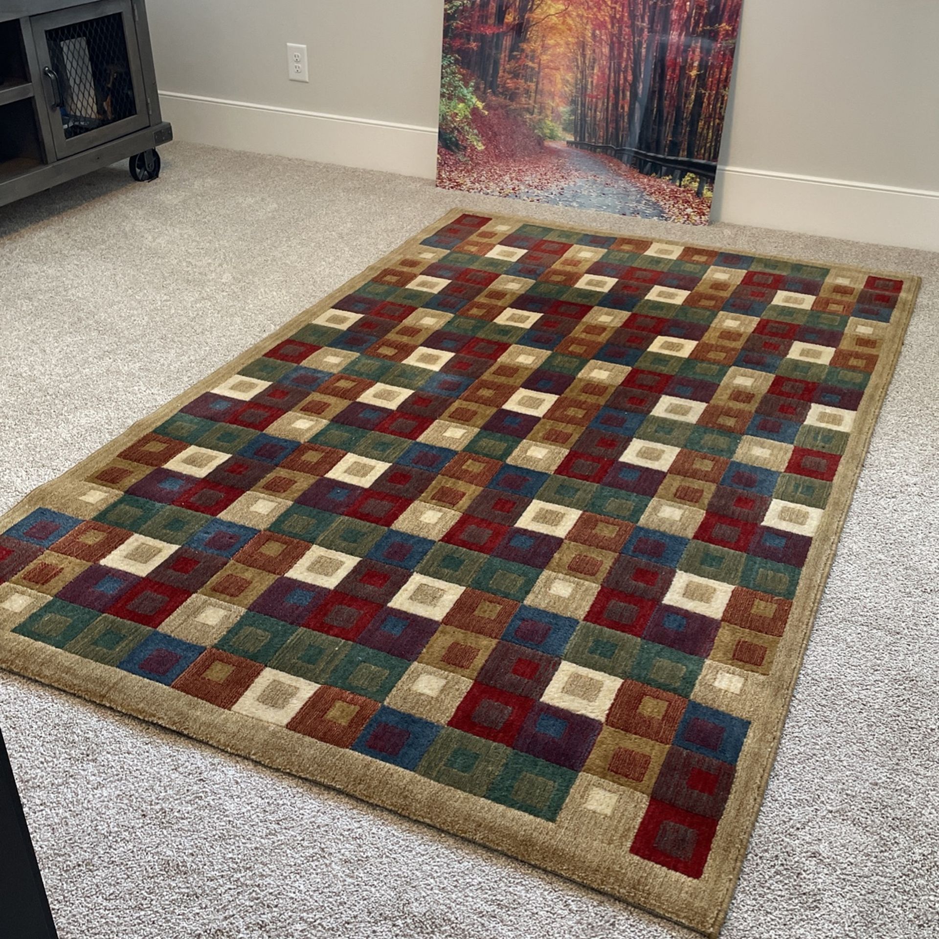 Pottery Barn 5x7 Rug (Basically New) for Sale in Raleigh, NC OfferUp