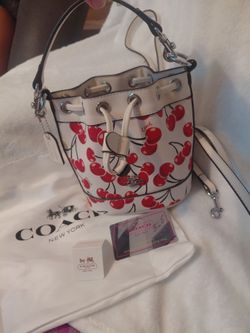 Beautiful Cherry purse