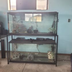 Double Fish Tank Setup
