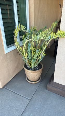 Planter in pot