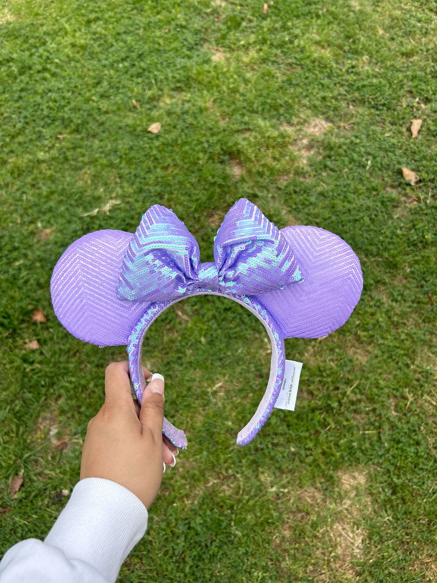 Disney Ears