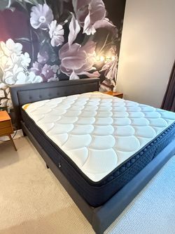 Dream Cloud Premium Rest King Mattress.