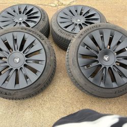 Model Y 19 Inch Set