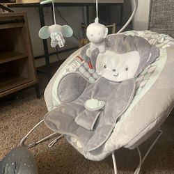 Baby Bouncer 