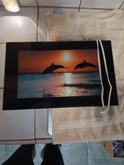 Dolphin sound and light display