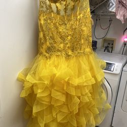 Prom Dress Size 22 