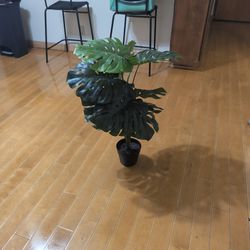 Fake 2.5 Feet Monstera Plant