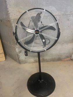 Pedestal Fan