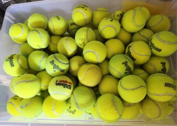 Used Tennis Balls For $20