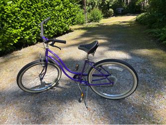 Schwinn Cruiser with  Stationary  Trainer