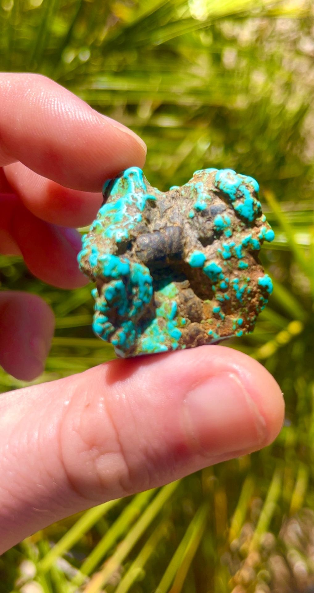 Turquoise