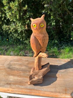 Life size  Owl on Tree Perch