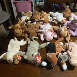 Beanie Baby Lot #4