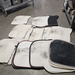Dressage Or Jumping Saddle Pads