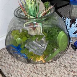 1 gallon fish tank