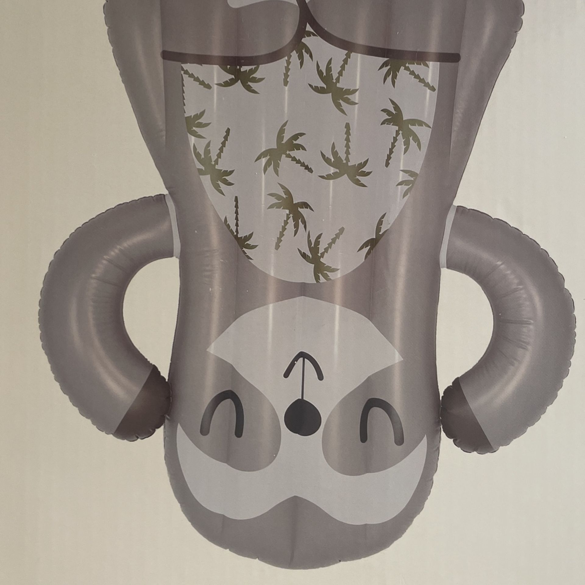 Sloth Pool Mat / Air Mattress