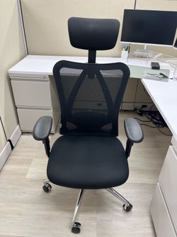 Ergonomic Office Chair