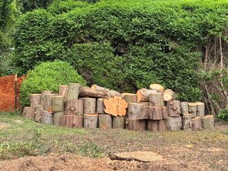 Free Wood - Hemlock and Western Red Cedar