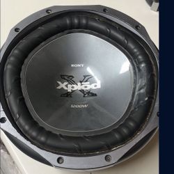 12 Inch Subwoofer 