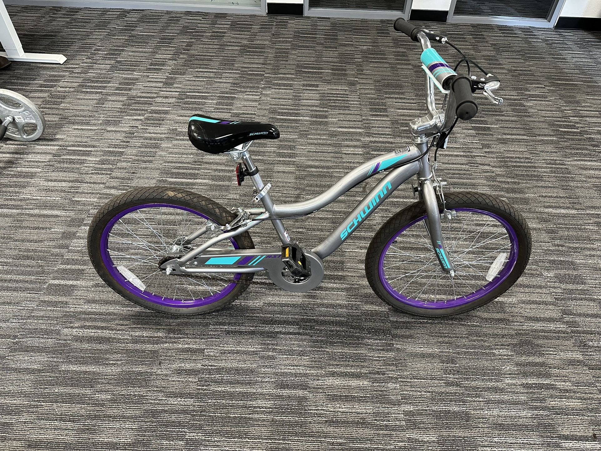 20” Kids Schwinn Bike